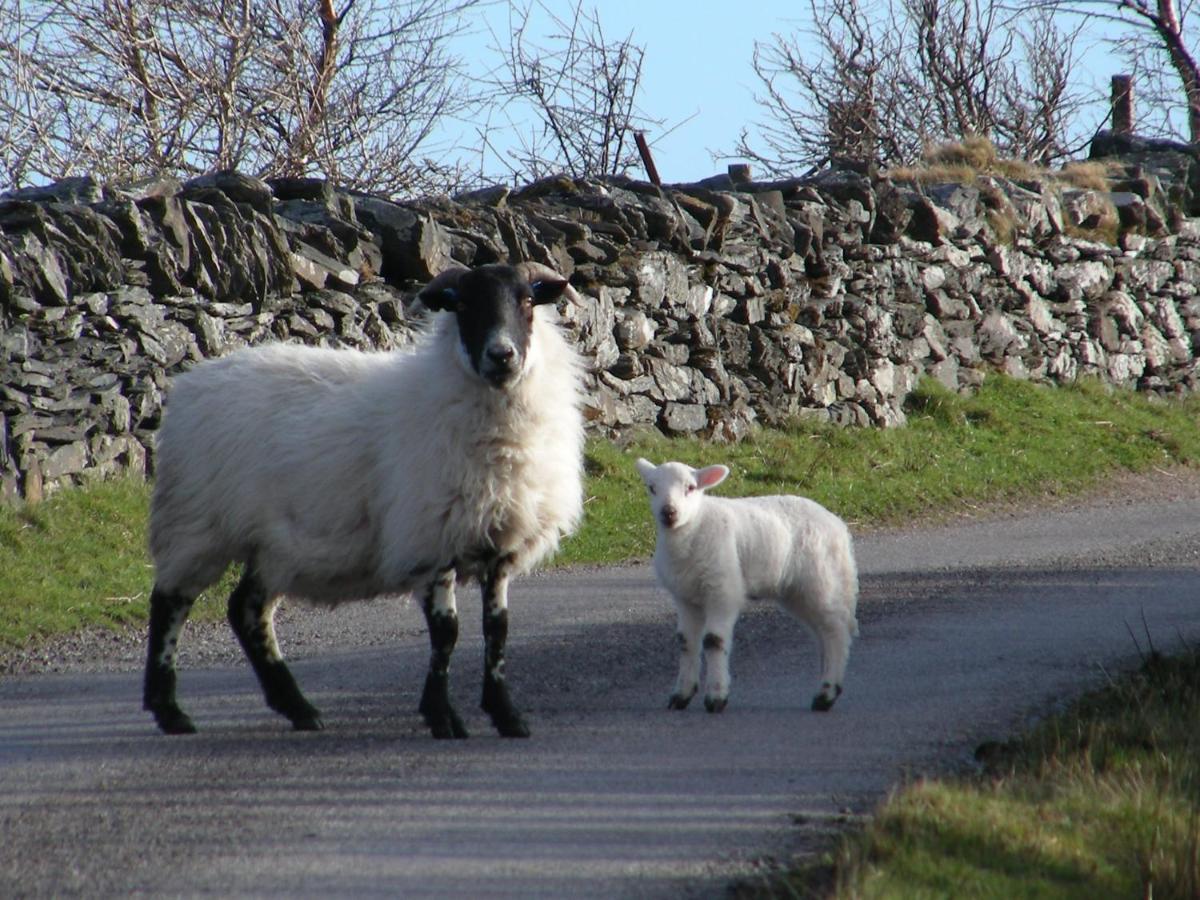 Sunnybrae, Isle Of Luing Hotel Cullipool Luaran gambar